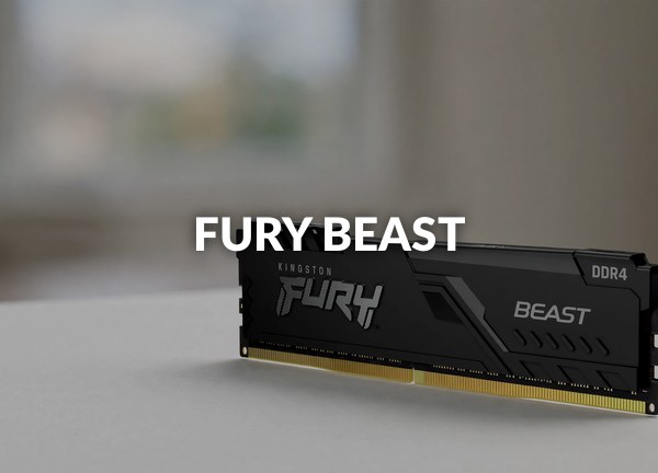 Fury Beast