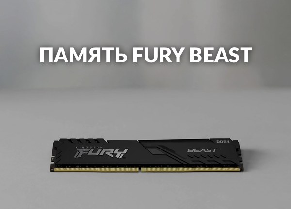 Память Fury Beast