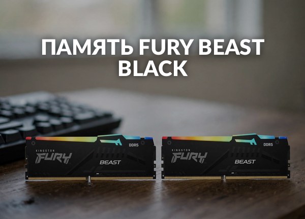 Память Fury Beast Black
