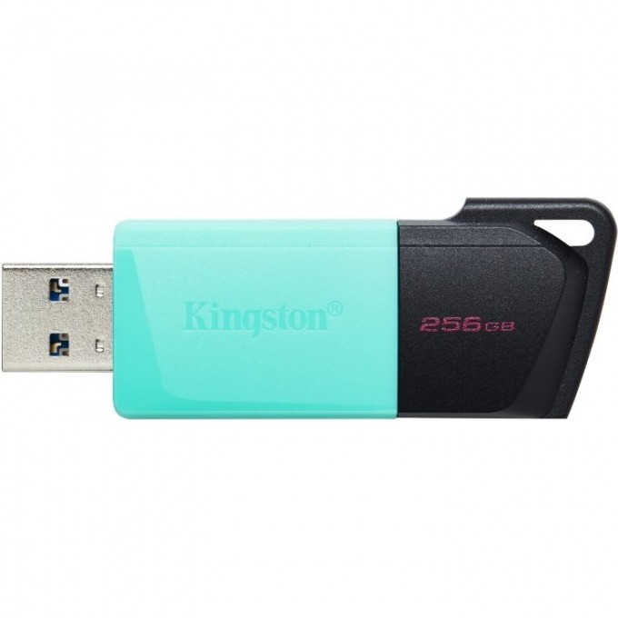 Флешка KINGSTON 256GB DTXM/256GB