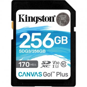 Карта памяти KINGSTON 256GB SDG-256GB