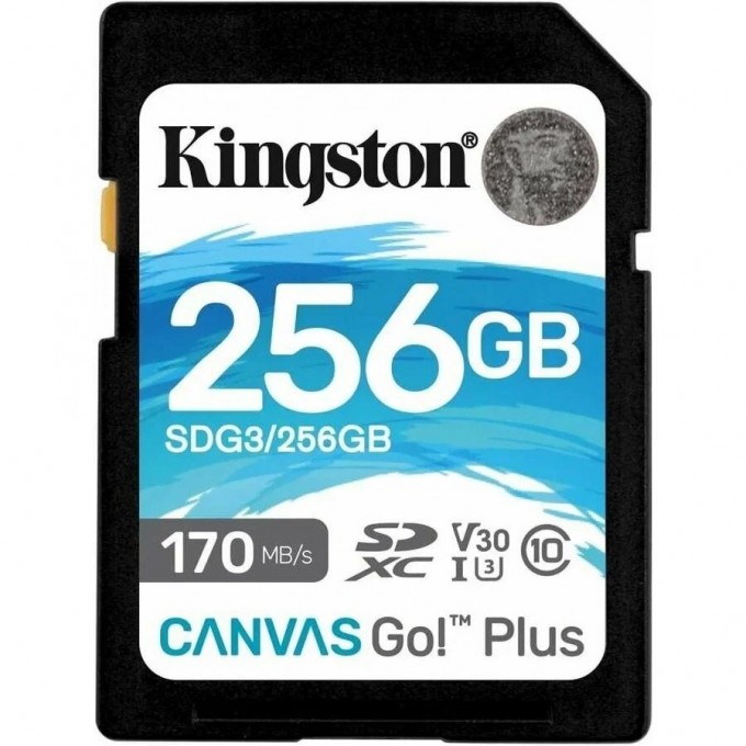 Карта памяти KINGSTON 256GB SDG3-256GB 625679